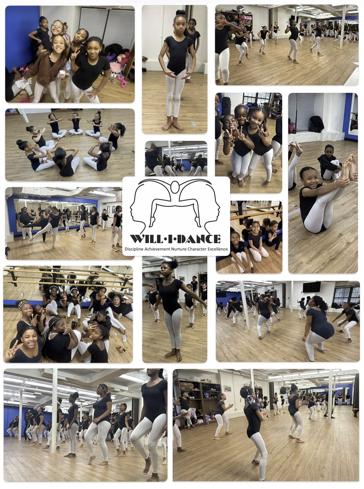 WID Donation Graphic 2.jpeg